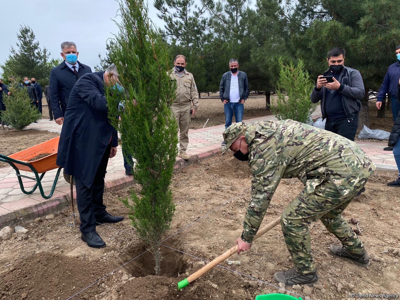 Ağdamda Ulu öndərin doğum günü münasibətilə ağacəkmə kampaniyası keçirilib (FOTO)