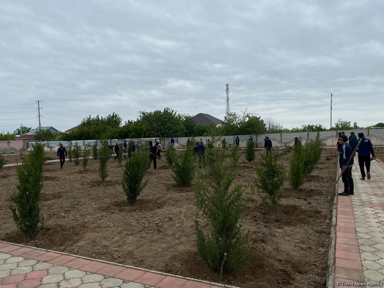 Ağdamda Ulu öndərin doğum günü münasibətilə ağacəkmə kampaniyası keçirilib (FOTO)