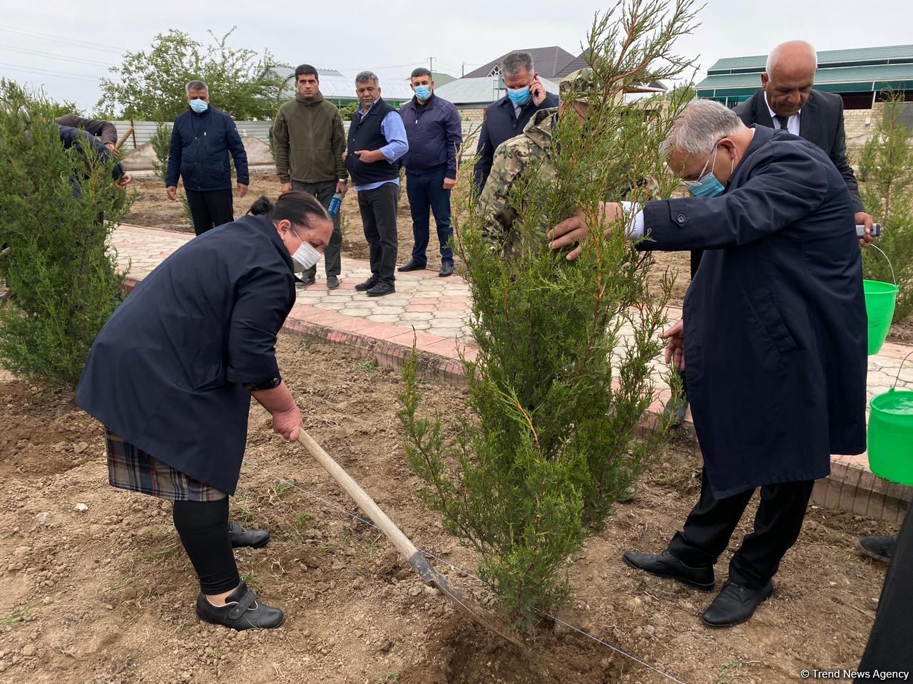 Ağdamda Ulu öndərin doğum günü münasibətilə ağacəkmə kampaniyası keçirilib (FOTO)