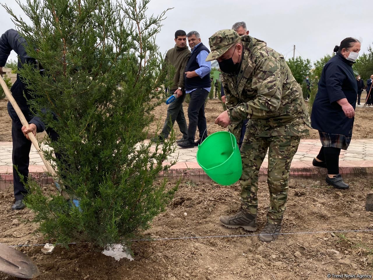 Ağdamda Ulu öndərin doğum günü münasibətilə ağacəkmə kampaniyası keçirilib (FOTO)