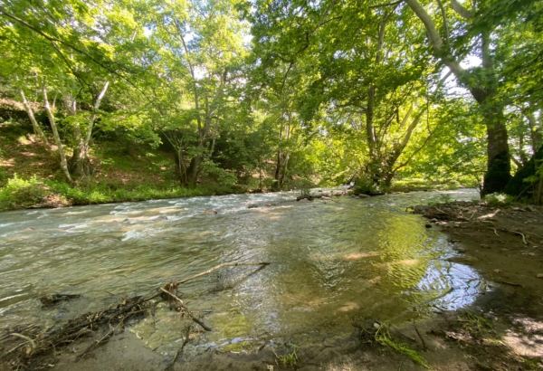 Qarabağda yeni Milli Park yaradılacaq (ÖZƏL)