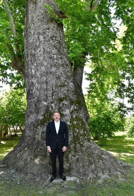 Prezident İlham Əliyev və birinci xanım Mehriban Əliyeva Nic qəsəbəsində 1 saylı orta məktəbdə və Müqəddəs Yelisey adına Cotari kilsəsində olublar (FOTO/VİDEO) (YENİLƏNİB)