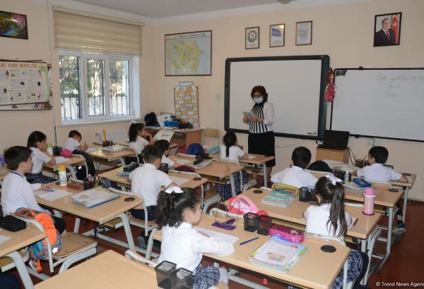 Məktəblərdə karyera planlaşdırılması dərsi tədris olunmalıdır - Ekspert