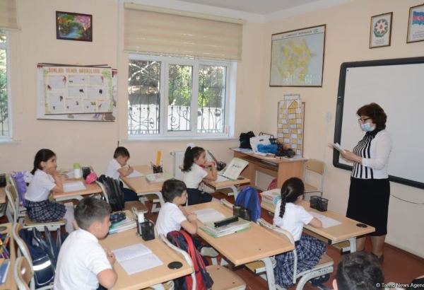Dərs bölgüsündə peyvənd olunan müəllimlərlə peyvənd olunmayanlar arasında fərq qoyulacaq? - Təhsil İdarəsinin müdirindən açıqlama
