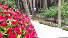 Xalq rəssamı Tahir Salahov dəfn olunub (FOTO/VİDEO)