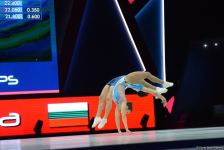 Aerobika gimnastikası üzrə dünya çempionatının son günündən maraqlı anlar (FOTO)