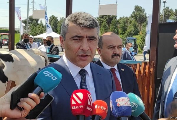 Bütün kənd təsərrüfatı yarmarkaları fəaliyyətini bərpa edəcək - Nazir