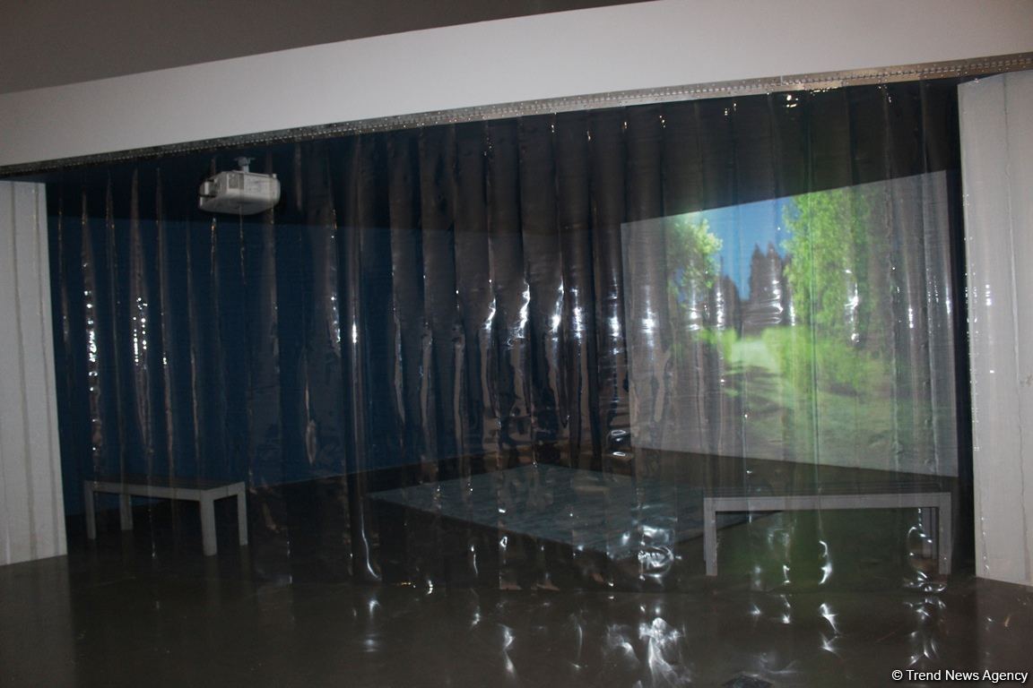 YARAT "20-ci Əsrin Son Çiçəkləri: Nəsil Y" adlı yeni qrup sərgisini təqdim edib (FOTO)