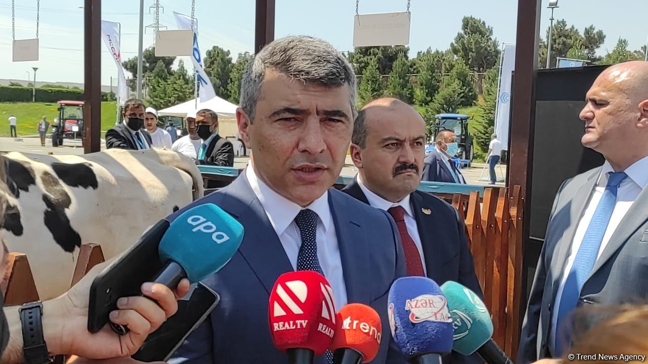 Bütün kənd təsərrüfatı yarmarkaları fəaliyyətini bərpa edəcək - Nazir