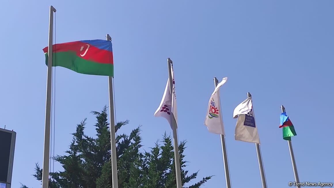 Bakıda beynəlxalq kənd təsərrüfatı və qida sənayesi sərgiləri keçirilir (FOTO)