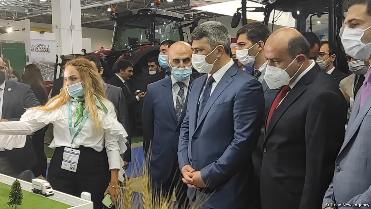 Bakıda beynəlxalq kənd təsərrüfatı və qida sənayesi sərgiləri keçirilir (FOTO)