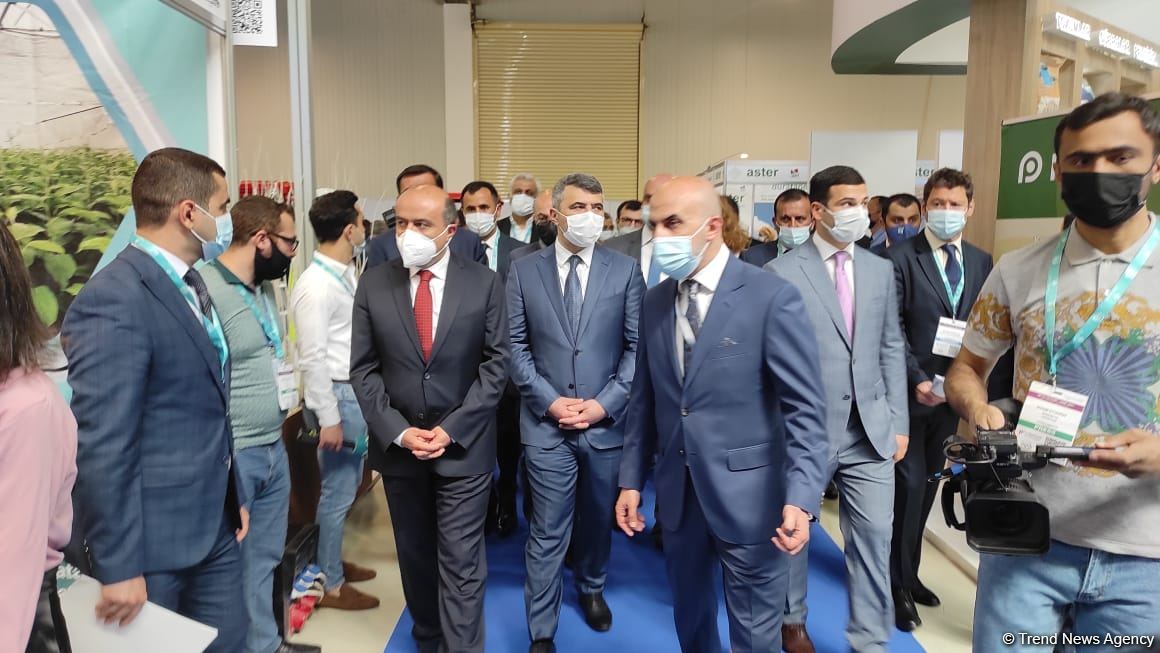 Bakıda beynəlxalq kənd təsərrüfatı və qida sənayesi sərgiləri keçirilir (FOTO)