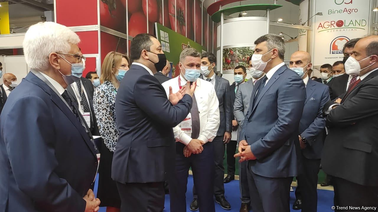 Bakıda beynəlxalq kənd təsərrüfatı və qida sənayesi sərgiləri keçirilir (FOTO)