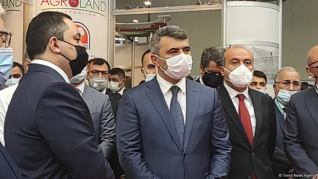 Bakıda beynəlxalq kənd təsərrüfatı və qida sənayesi sərgiləri keçirilir (FOTO)