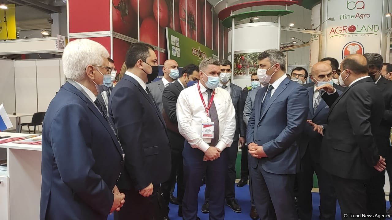Bakıda beynəlxalq kənd təsərrüfatı və qida sənayesi sərgiləri keçirilir (FOTO)