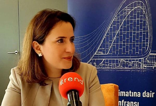 "AmCham" Qarabağın bərpasında iştirak etməkdə maraqlıdır - Vitse-prezident