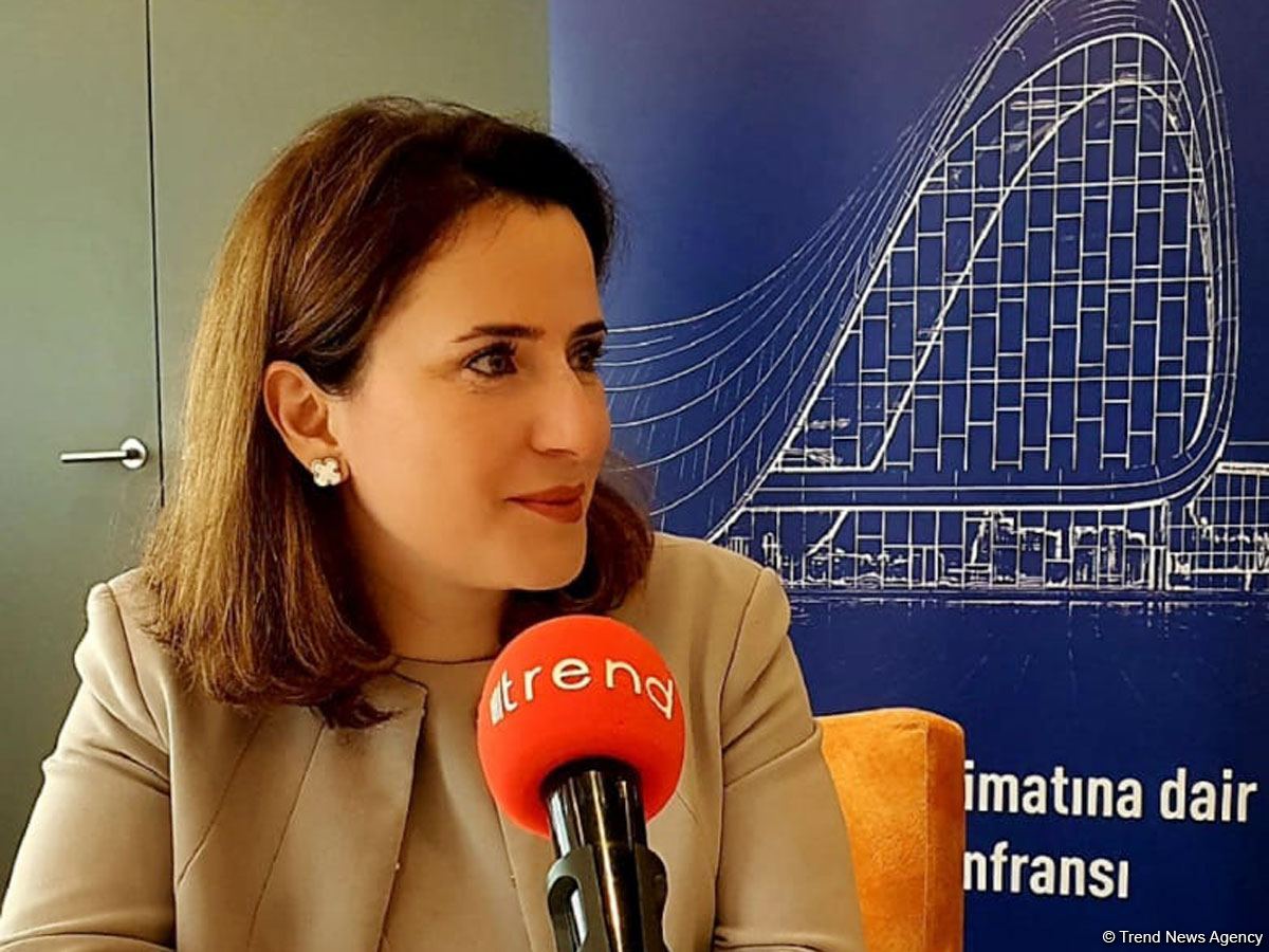 "AmCham" Qarabağın bərpasında iştirak etməkdə maraqlıdır - Vitse-prezident