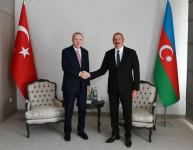 Azərbaycan və Türkiyə prezidentlərinin təkbətək görüşü olub (FOTO/VİDEO) (YENİLƏNİB)