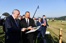 Şuşada Ərdoğana “Zəfər” adlı Qarabağ atı və “Xarıbülbül” kompozisiyası hədiyyə edilib (FOTO)