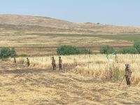 Yeddi min hektardan çox ərazi minalardan təmizlənib (FOTO)