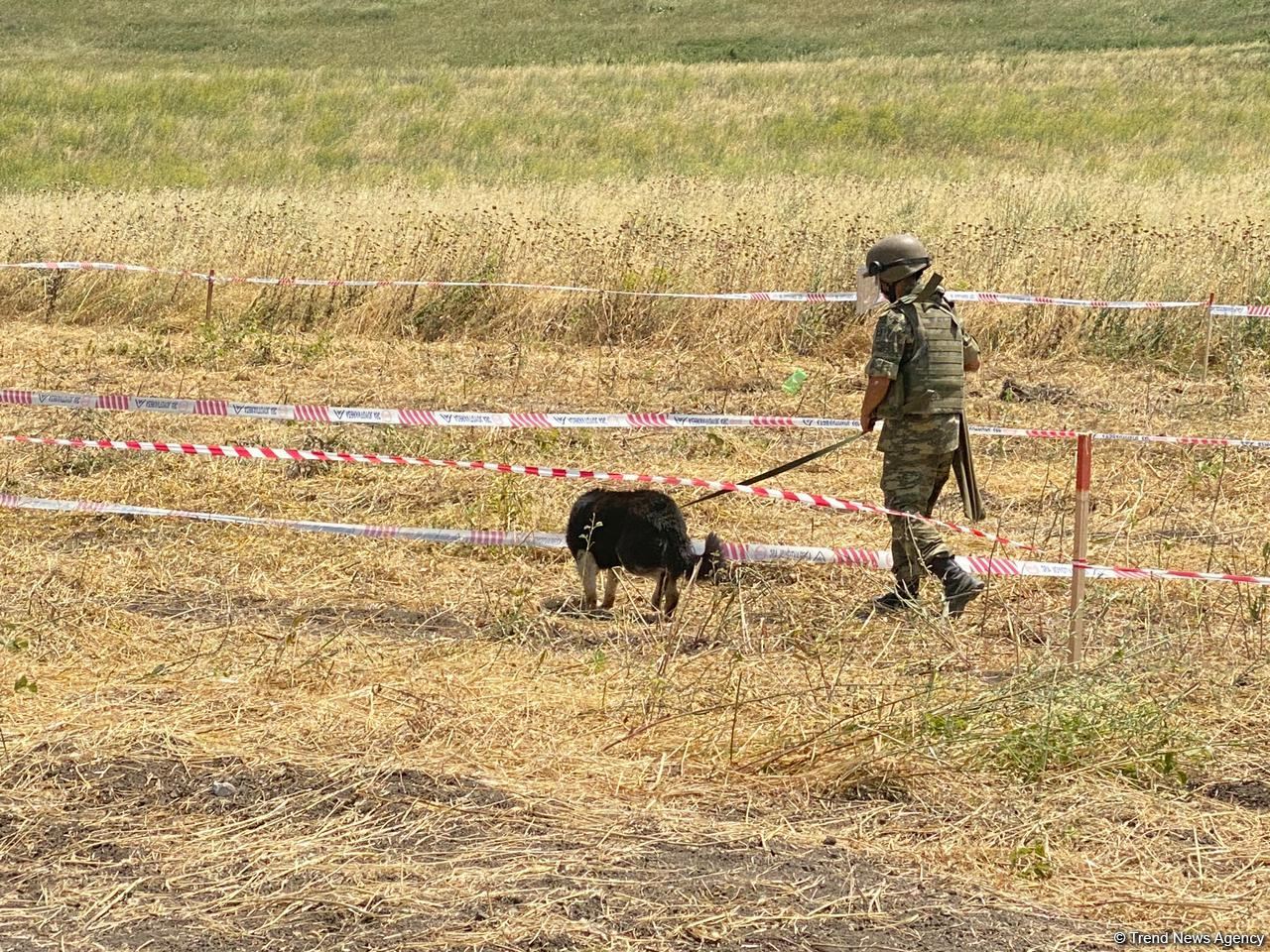 Yeddi min hektardan çox ərazi minalardan təmizlənib (FOTO)