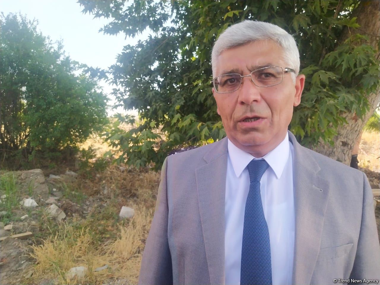 Ermənilər işğal müddətində Azərbaycan ərazilərində təbiət abidələrinin çoxunu məhv edib - Sektor müdiri
