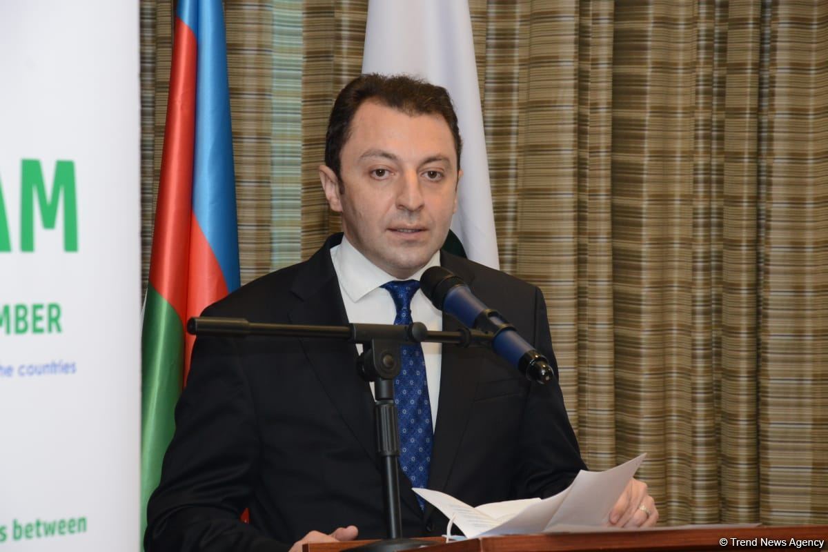 Zəngilanda yaradılan “ağıllı kənd” 2022-ci ilin yanvarında hazır olacaq- Nazir müavini