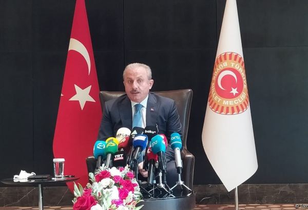 Mustafa Şentop Moldova Parlamentinin sədri ilə görüşüb