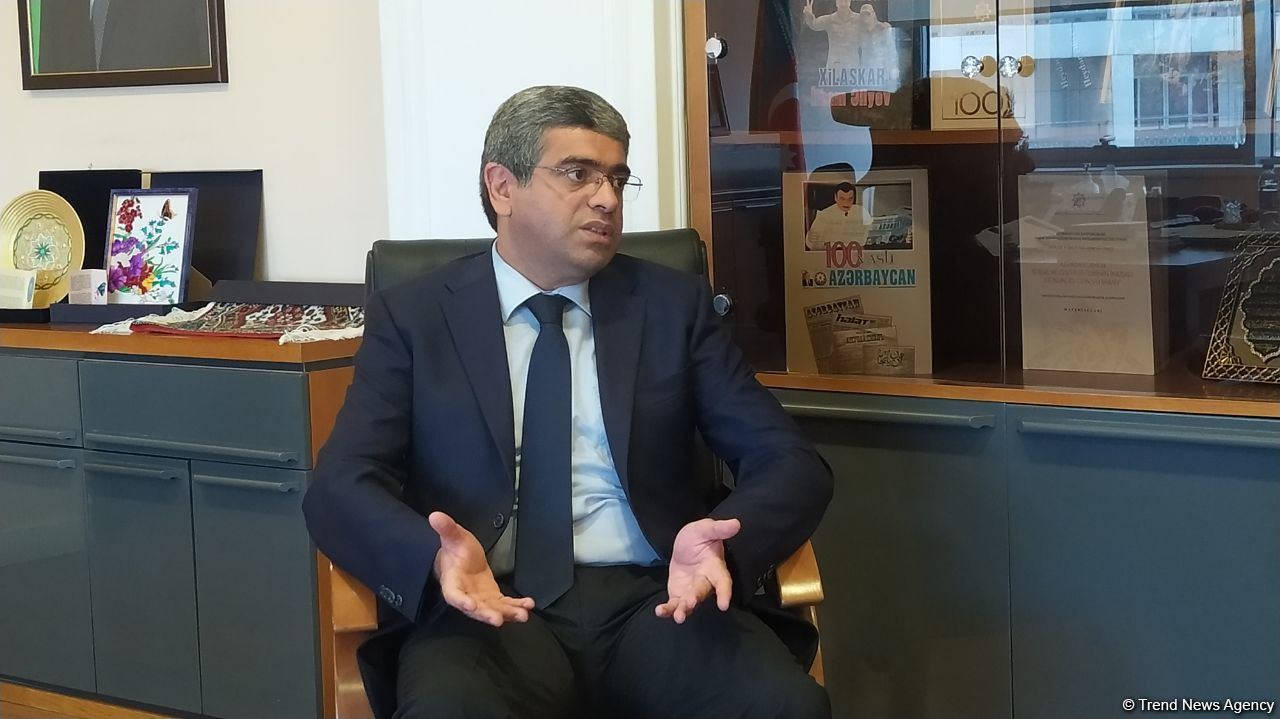 Şəhid ailələri və qazilərin sosial müdafiəsi üçün bütün imkanlar səfərbər edilib - Nazir müavini (FOTO/VİDEO)