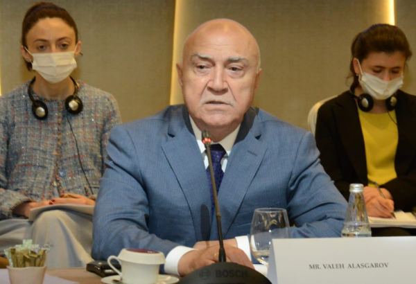 Xarici investorlar Ələt Azad İqtisadi Zonasında fəaliyyət göstərməkdə maraqlıdır - Valeh Ələsgərov