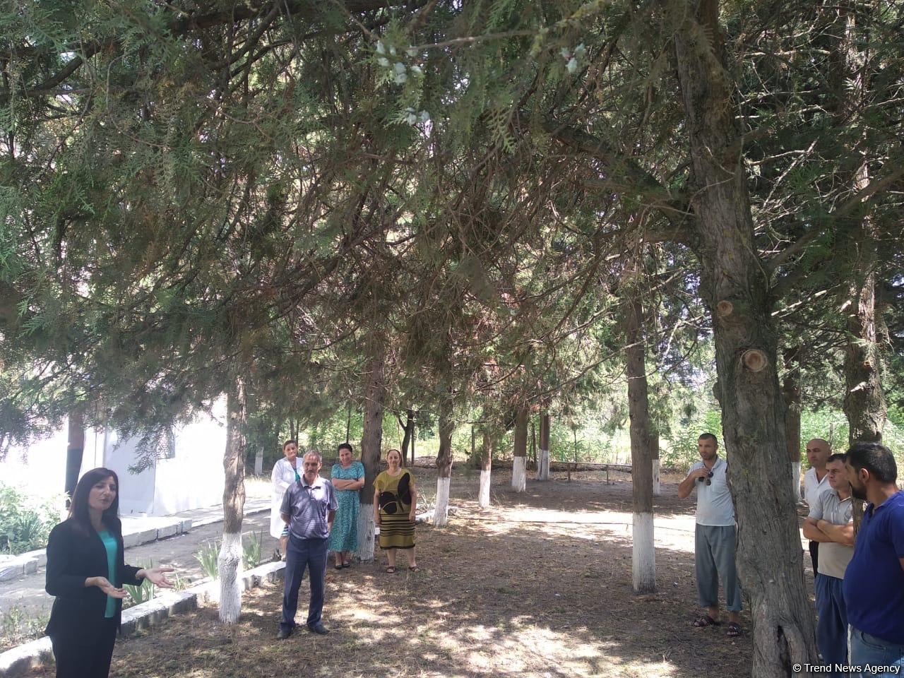 Millət vəkili Sevil Mikayılova seçiciləri ilə görüşüb (FOTO)