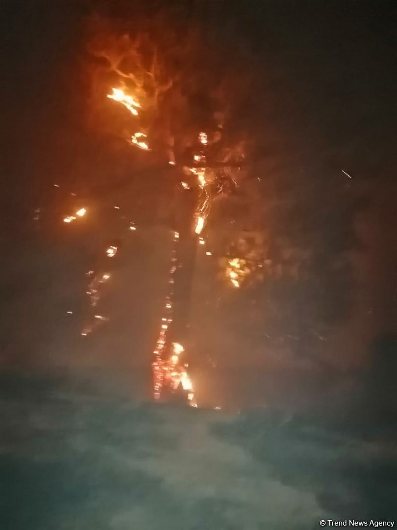 Ağsuda güclü yanğın meşə sahəsinə keçdi (FOTO/VİDEO)