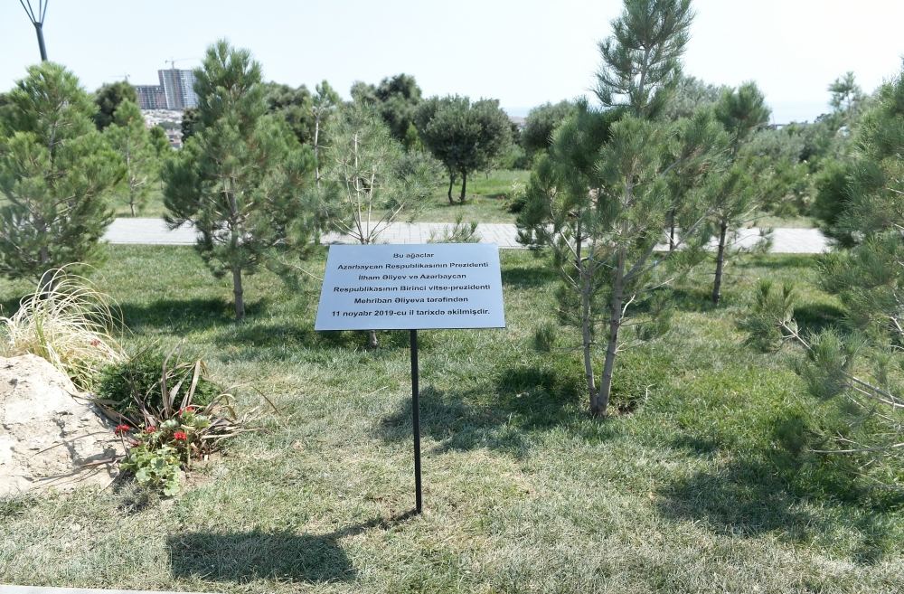 Prezident İlham Əliyev və birinci xanım Mehriban Əliyeva Bakıda yeni yaradılan “Gənclik” parkının açılışında iştirak ediblər (FOTO/VİDEO) (YENİLƏNİB)