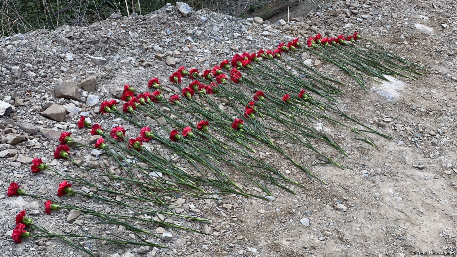 Kəlbəcər sakinləri 28 il sonra doğma yurdlarına səfər ediblər (FOTO)