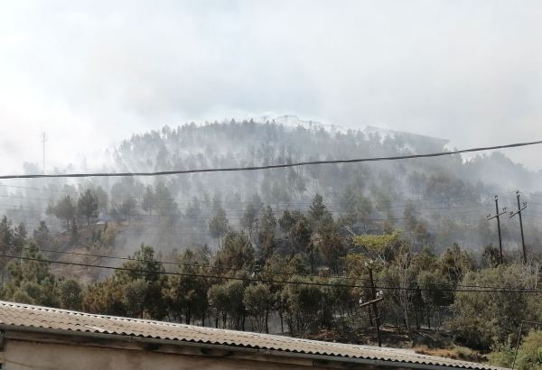 Badamdardakı yanğında üç hektar sahədə quru ot, kol-kos yanıb (FOTO)