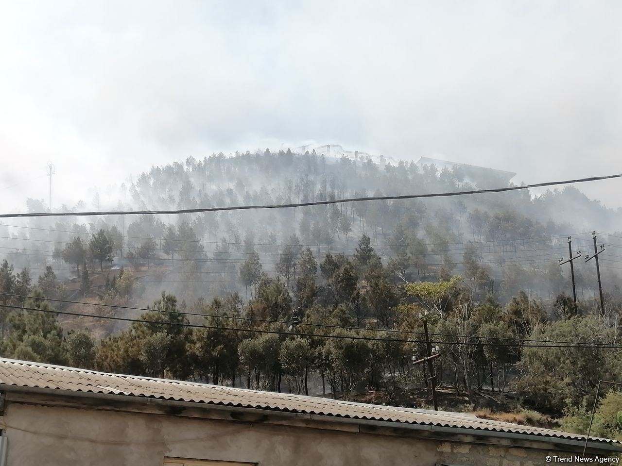 Badamdardakı yanğında üç hektar sahədə quru ot, kol-kos yanıb (FOTO)