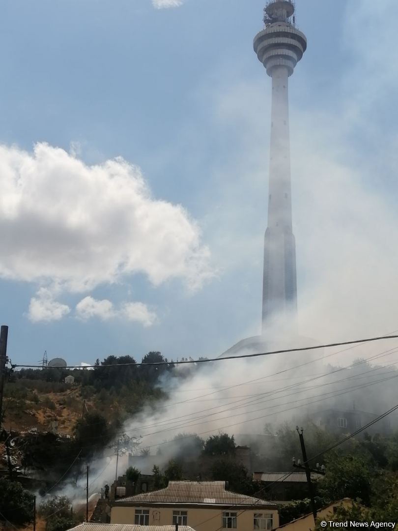 Badamdardakı yanğında üç hektar sahədə quru ot, kol-kos yanıb (FOTO)