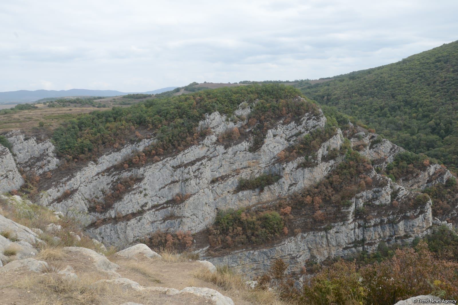 Zəfərin rəmzi: ŞUŞA