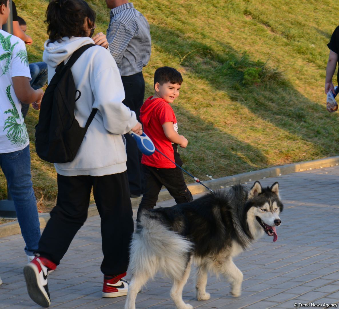 İnsanların sevimli istirahət məkanına çevrilən "Gənclik" parkından FOTOREPORTAJ