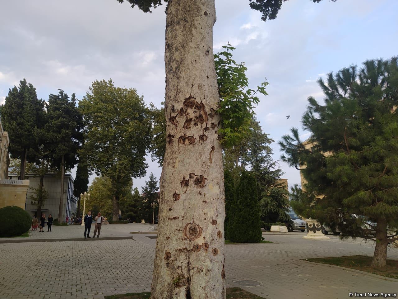 İƏT Ombudsmanlar Assosiasiyasının nümayəndə heyəti Tərtərə səfər edib (FOTO)