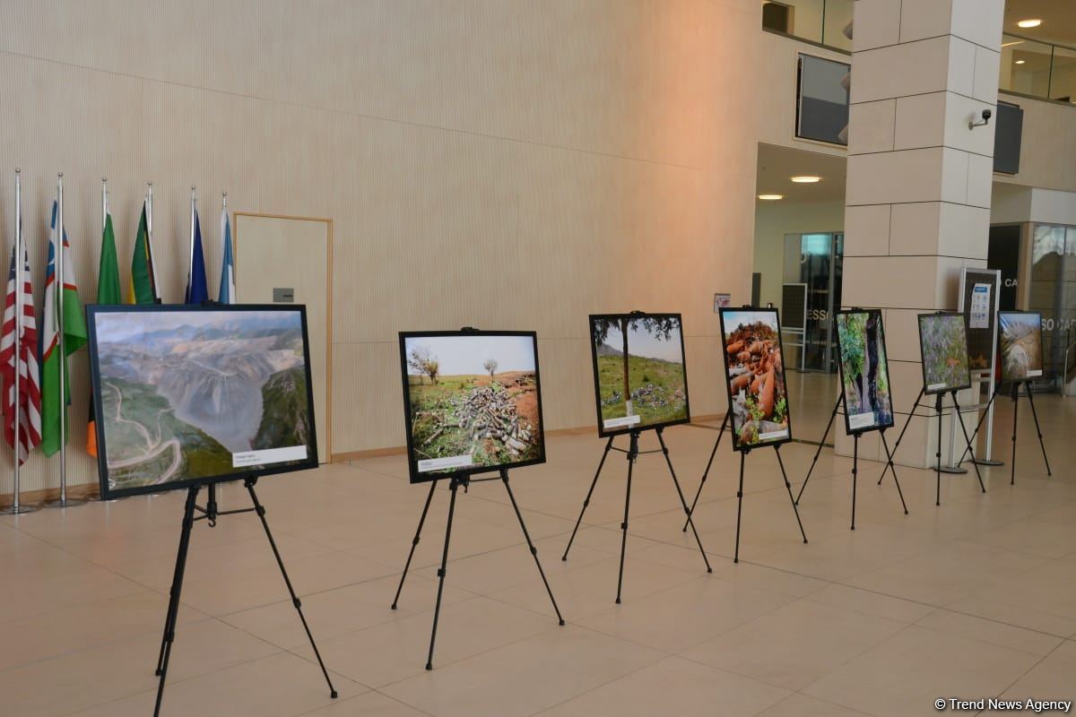 ETSN və ADA Universitetinin birgə təşkilatçılığı ilə brifinq keçirilib (FOTO)