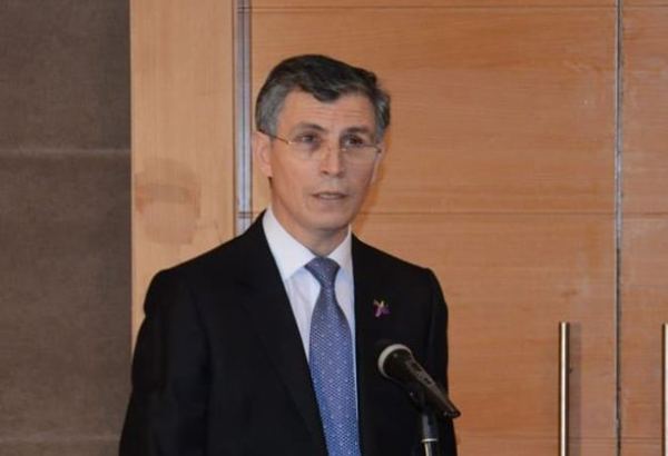 Milli Məclis Fazil Mustafaya qarşı silahlı hücumun məhz terror aktı olduğunu təsdiqləyir - Zahid Oruc