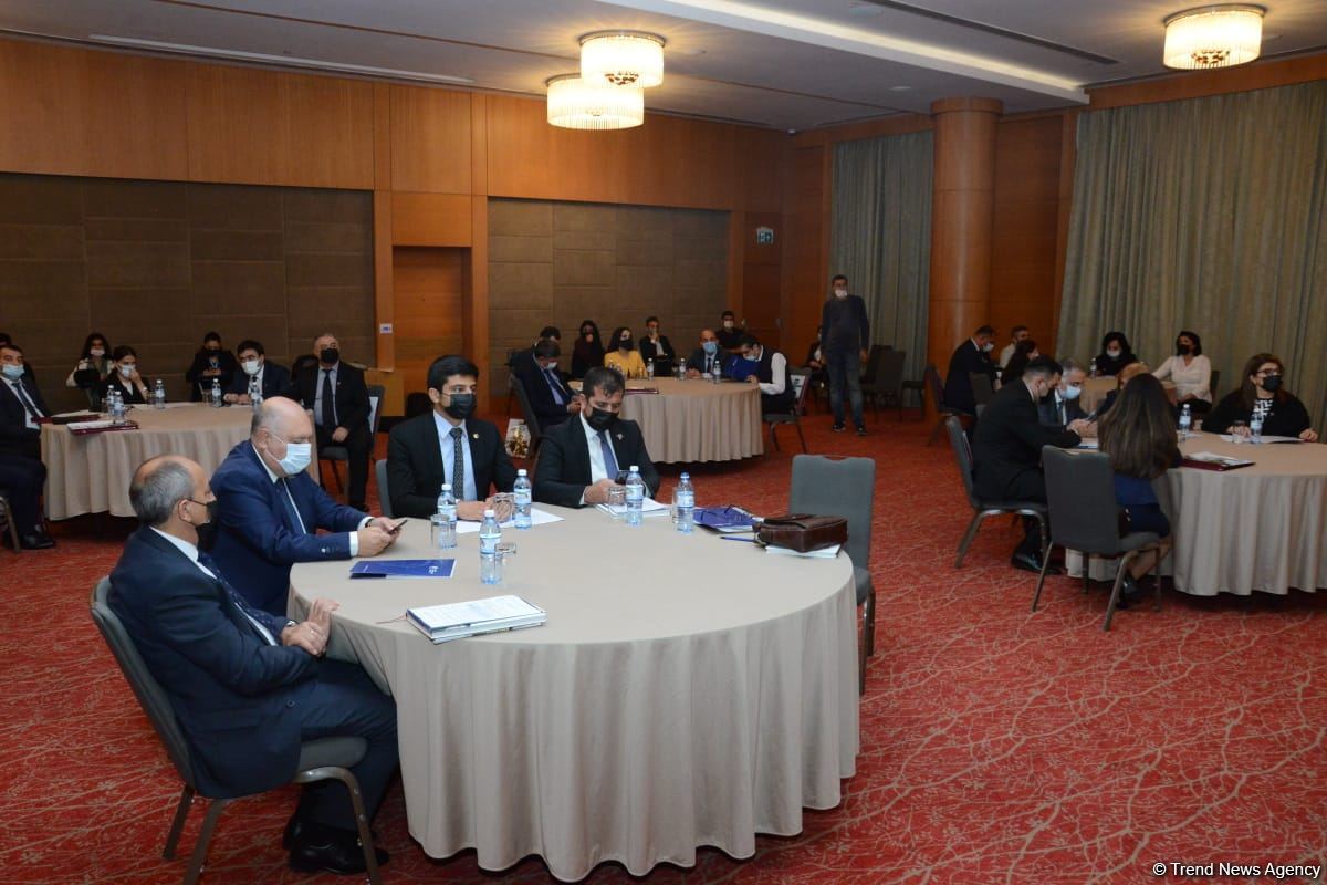 Şəhidlər barədə məlumatlar vahid portalda toplanacaq - Səadət Yusifova (FOTO)