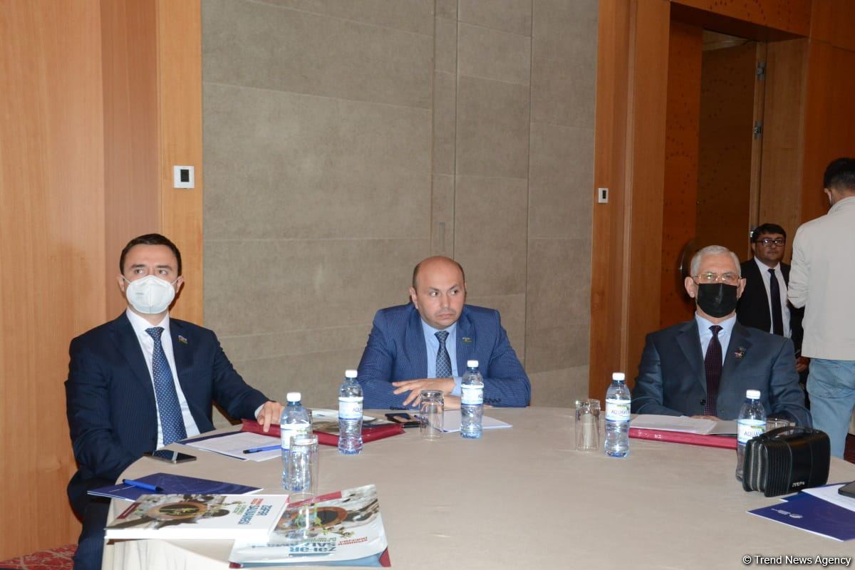 Şəhidlər barədə məlumatlar vahid portalda toplanacaq - Səadət Yusifova (FOTO)