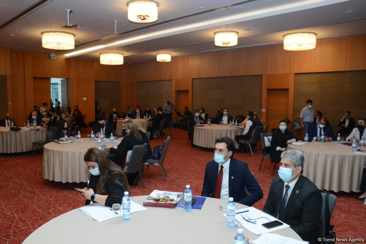 Şəhidlər barədə məlumatlar vahid portalda toplanacaq - Səadət Yusifova (FOTO)
