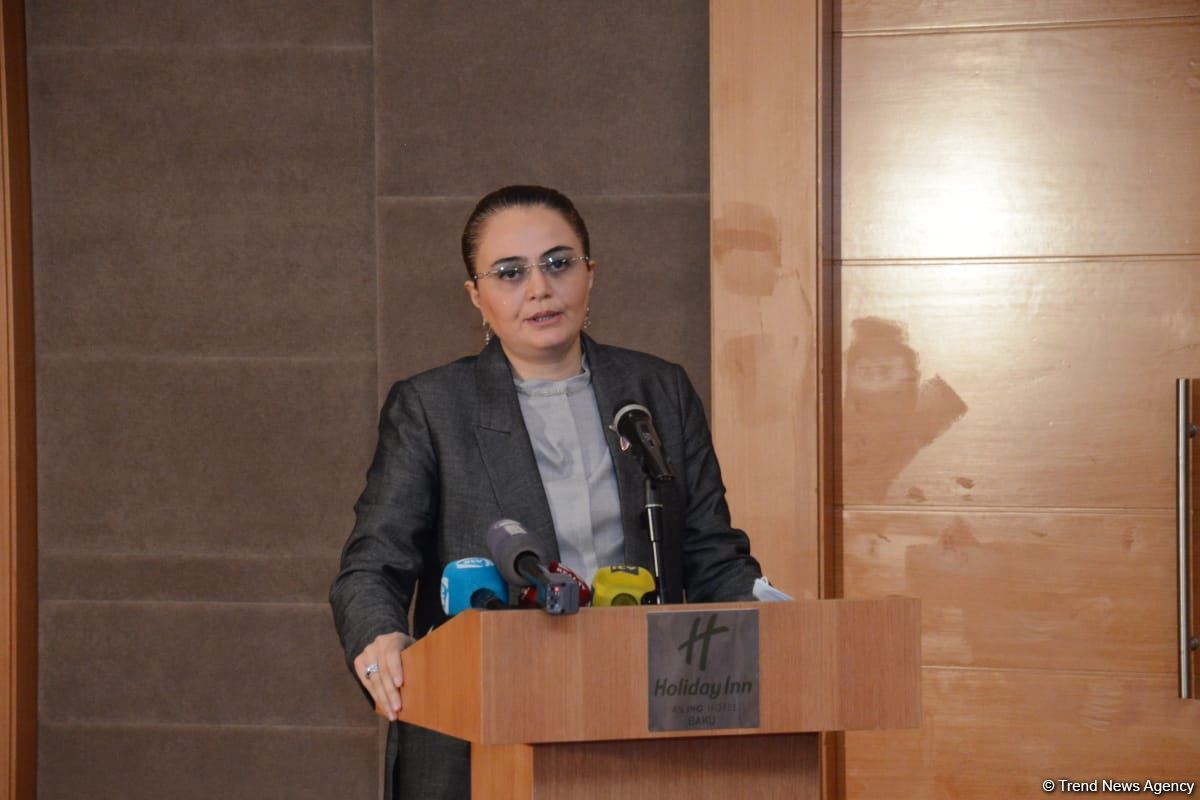 Dövlətin xarici siyasəti ilə bağlı beyin mərkəzlərinin fəaliyyəti kompleks olmalıdır - Səadət Yusifova