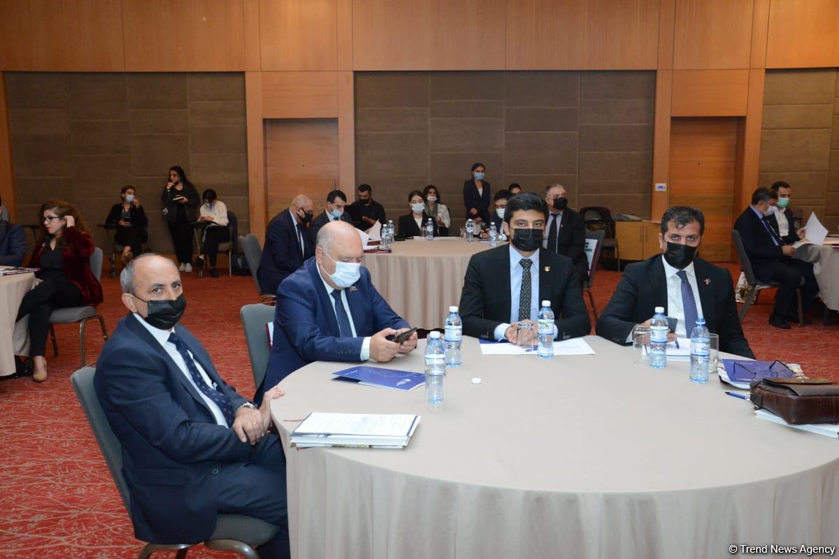 Şəhidlər barədə məlumatlar vahid portalda toplanacaq - Səadət Yusifova (FOTO)
