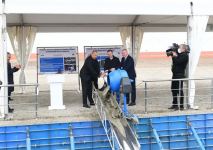 Prezident İlham Əliyev Cəbrayılda “KAMaz” ASC ilə “Gəncə Avtomobil Zavodu” İstehsalat Birliyinin birgə servis mərkəzinin təməlini qoyub (YENİLƏNİB) (FOTO/VİDEO)