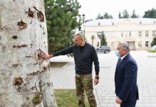 Prezident İlham Əliyev Ermənistan tərəfindən Tərtərə atılmış mərmilərə baxıb (FOTO)