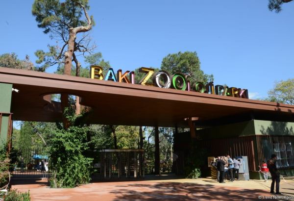 Bakı Zooparkı bayram günləri işləyəcək? - AÇIQLAMA